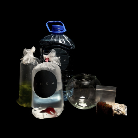 Готовое решение «Малый круглый аквариум с рыбкой Петушком » 