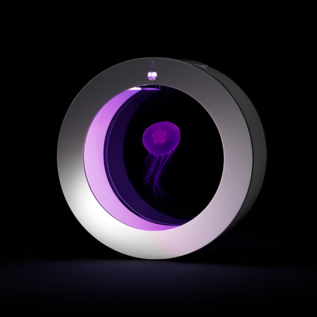 Готовое решение «Аквариум с медузами 2л»