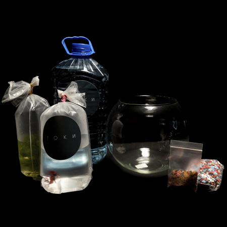 Готовое решение «Большой круглый аквариум с рыбкой Петушком» 