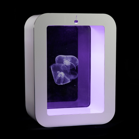 Готовое решение «Аквариум с медузами 58л»