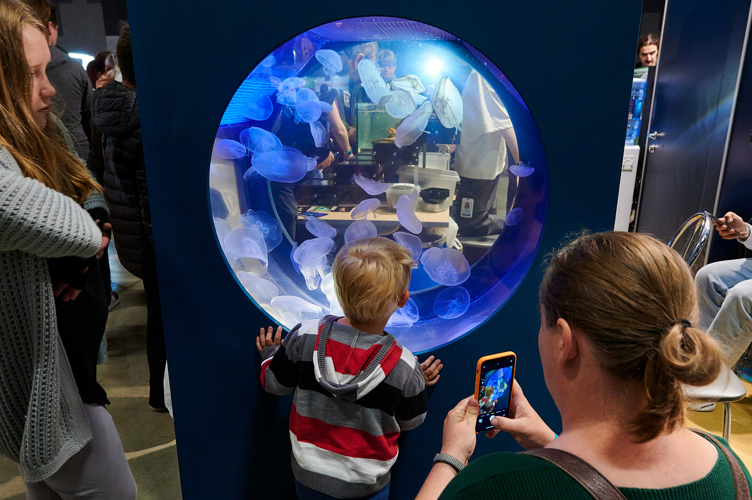 Рептилиум 2023