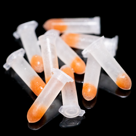 Корм для медуз (науплии артемии)