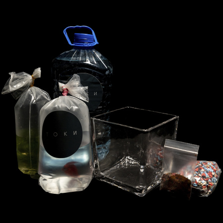 Готовое решение «Большой Квадратный аквариум с рыбкой Петушком» 