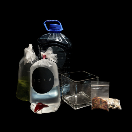 Готовое решение «Малый квадратный аквариум с рыбкой Петушком» 