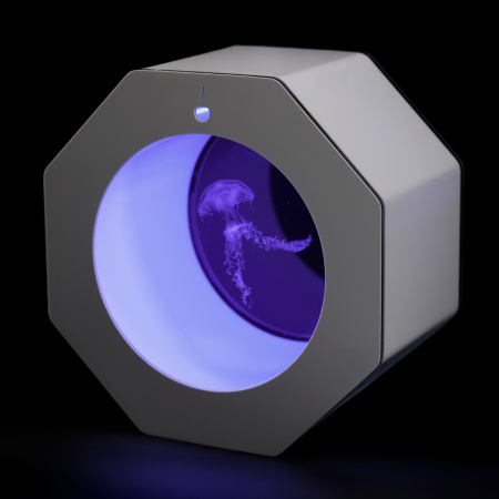 Готовое решение «Аквариум с медузами 18л»