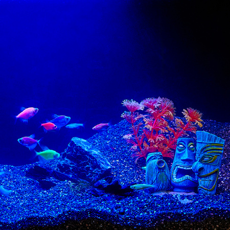 Готовое решение «Glo»