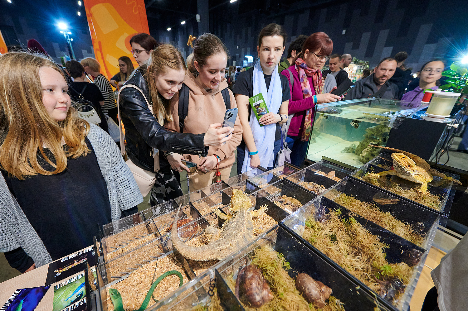 Рептилиум 2023