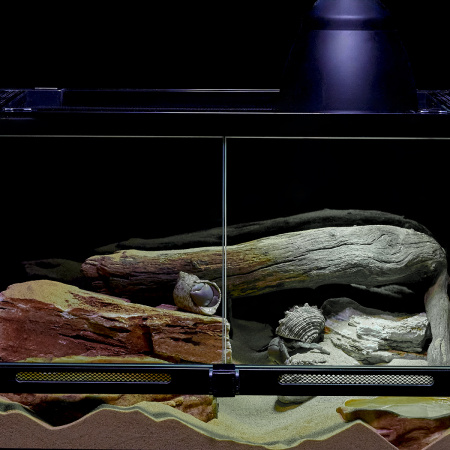 Готовое решение «Террариум с отшельниками» 