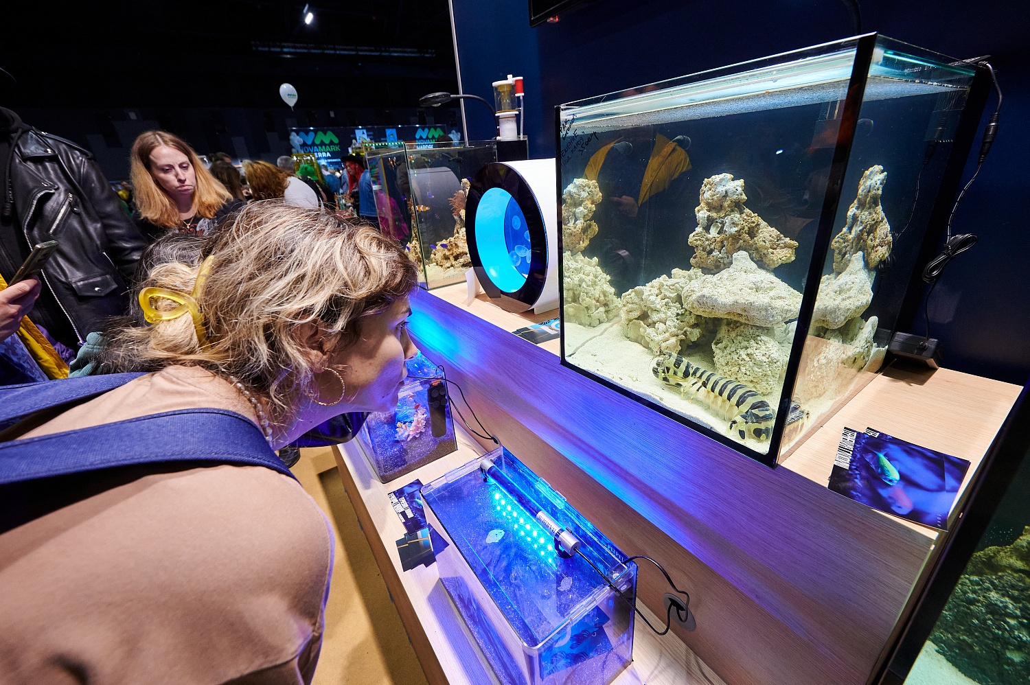 Рептилиум 2023