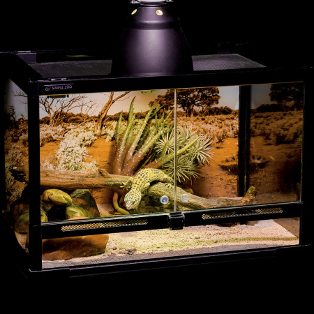 Готовое решение «Террариум с пятнистым эублефаром» 